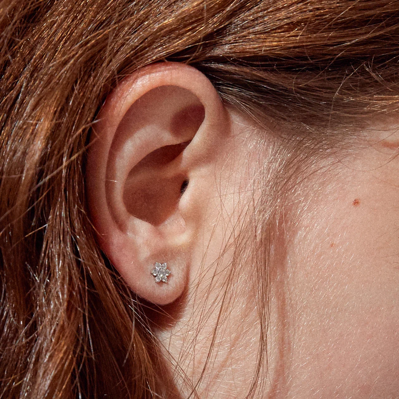 LP/17 — фото 3